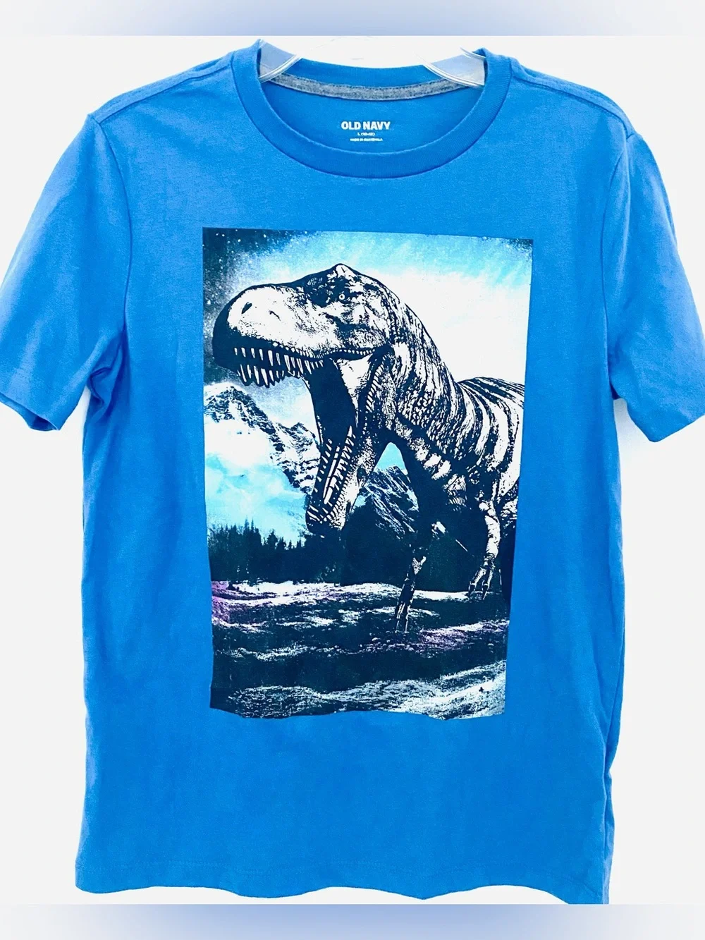 👍🏽Old Navy Boys “Dinosaur” Graphic T-Shirt SZ L (Y)